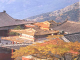 晉城市東岳廟