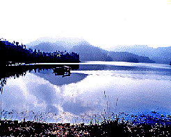 望龙湖