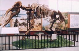 西河橋古生物化石