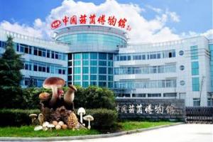 中國菇菌博物館
