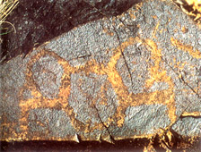 古代岩刻画
