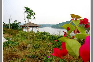 鄧陽湖