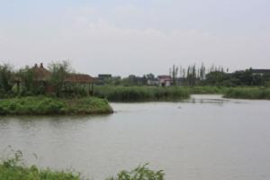 梁鴻濕地公園