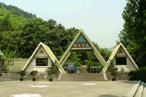 杭州東明山森林公園